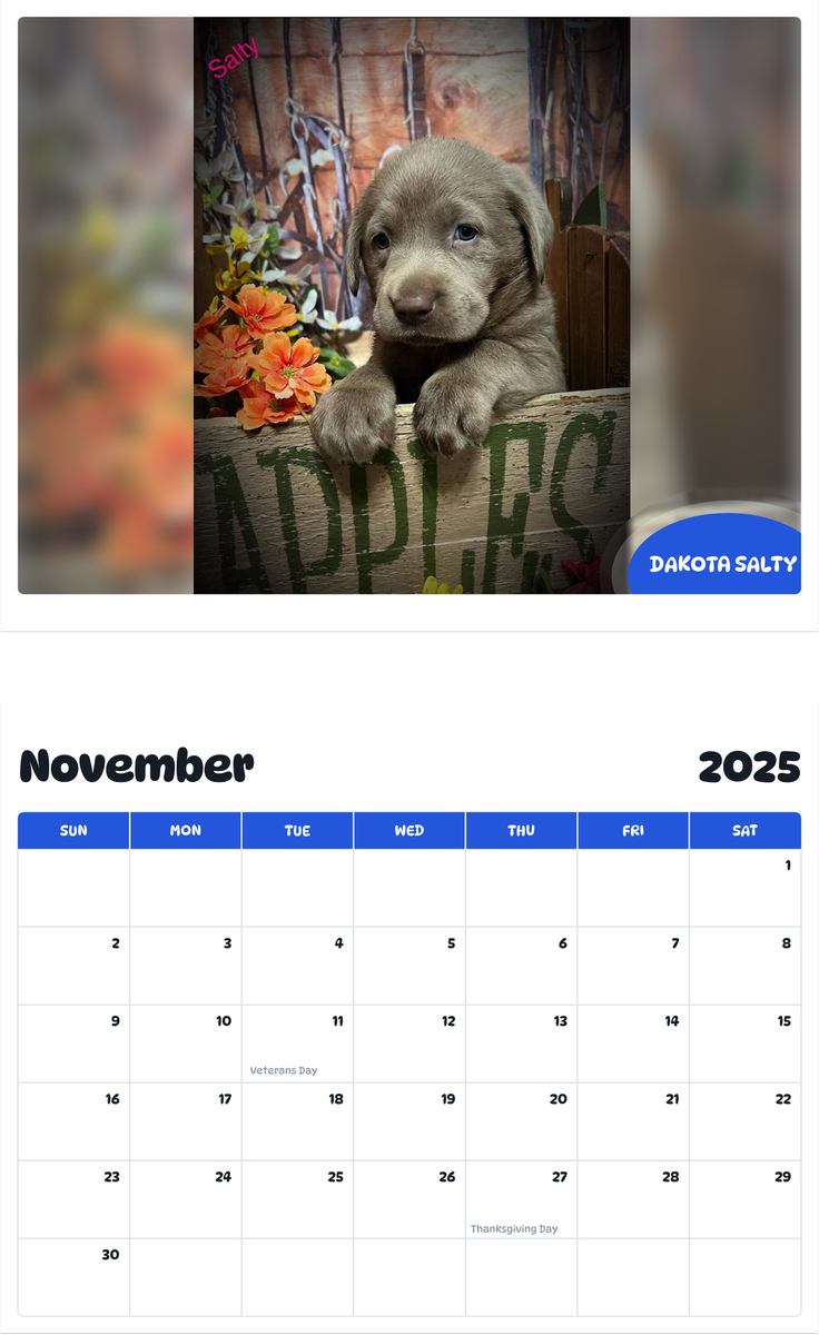 July 2025 - June 2026 Dakota salty - Pawidols Pet Calendar