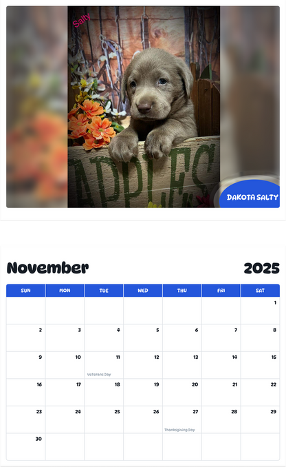 July 2025 - June 2026 Dakota salty - Pawidols Pet Calendar