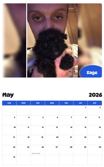 2026 - 2027 Sage - Pawidols Pet Calendar