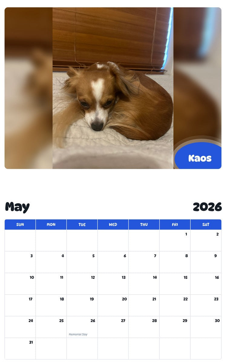 2026 - 2027 Kaos - Pawidols Pet Calendar