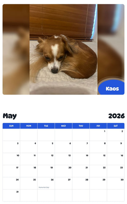 2026 - 2027 Kaos - Pawidols Pet Calendar