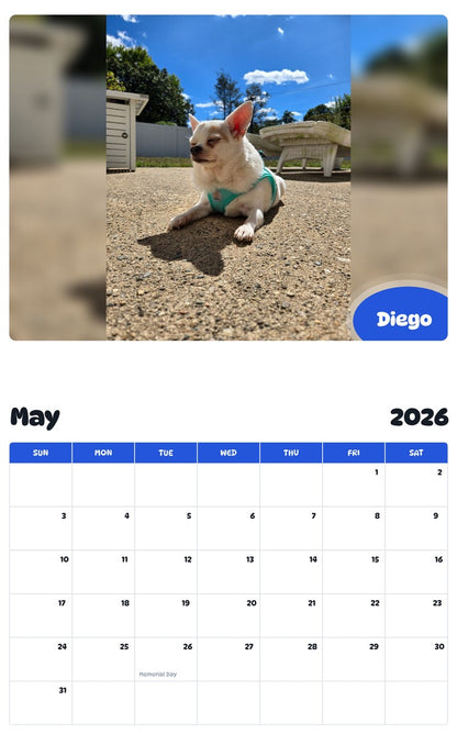 2026 - 2027 Diego - Pawidols Pet Calendar