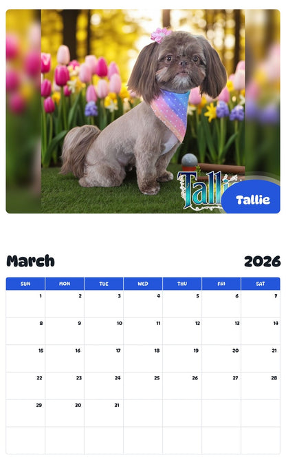 November 2025 - October 2026 Tallie - Pawidols Pet Calendar