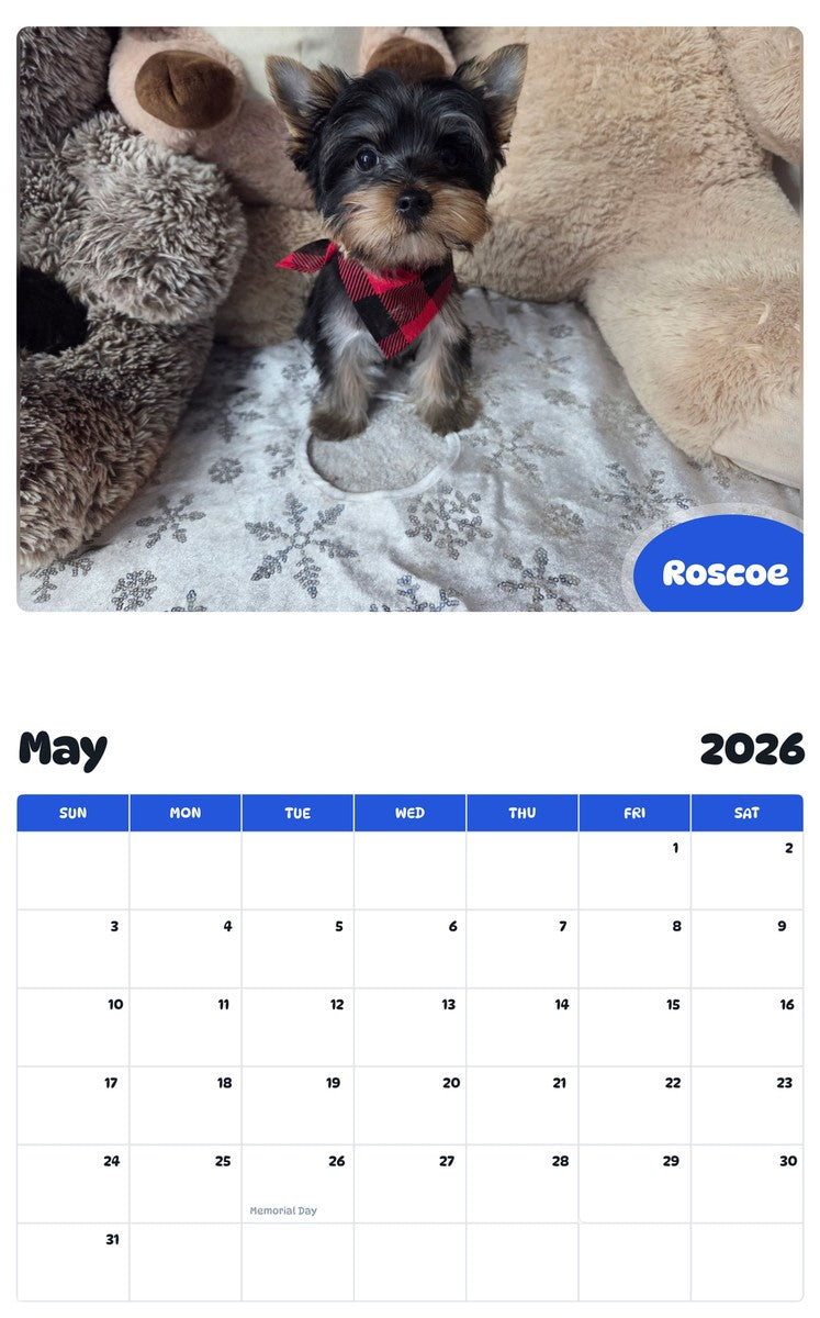 2026 - 2027 Roscoe - Pawidols Pet Calendar