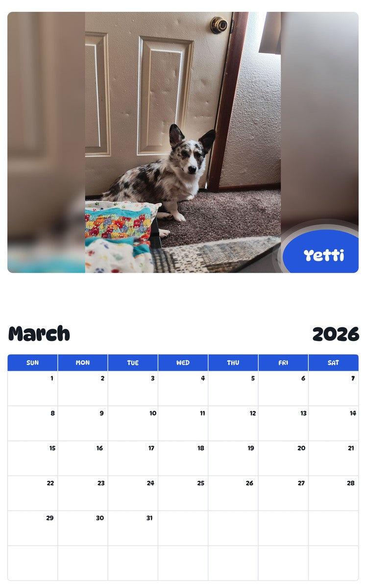 November 2025 - October 2026 Yetti - Pawidols Pet Calendar