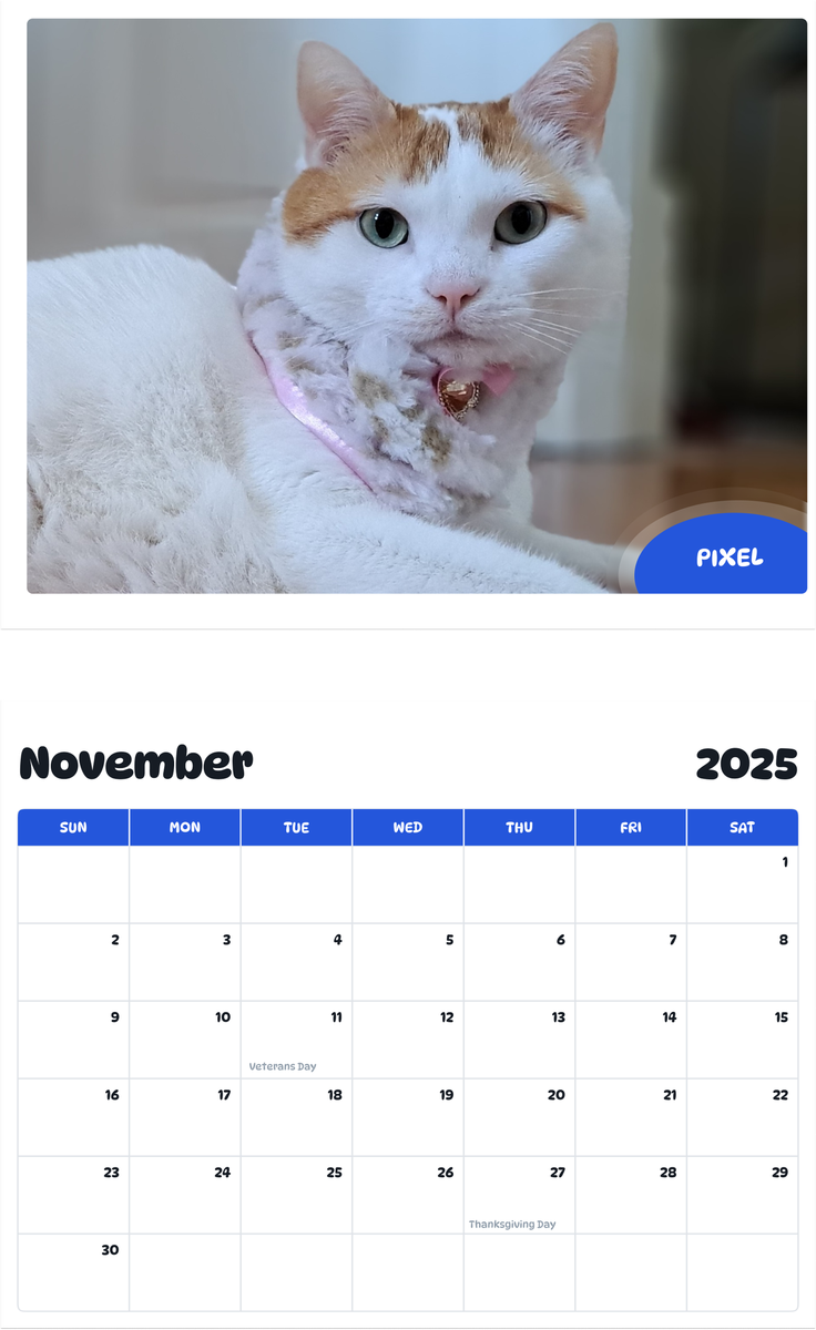 July 2025 - June 2026 Pixel - Pawidols Pet Calendar