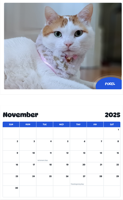 July 2025 - June 2026 Pixel - Pawidols Pet Calendar