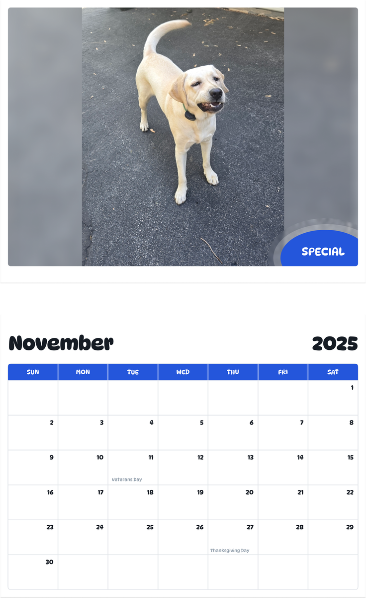 July 2025 - June 2026 Special - Pawidols Pet Calendar