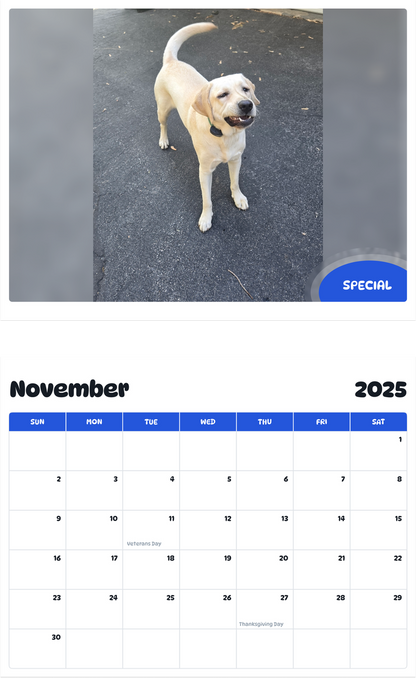 July 2025 - June 2026 Special - Pawidols Pet Calendar