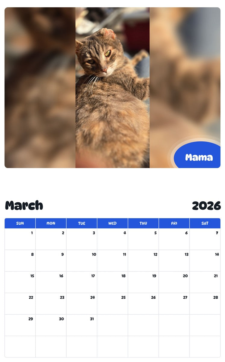 November 2025 - October 2026 Mama - Pawidols Pet Calendar