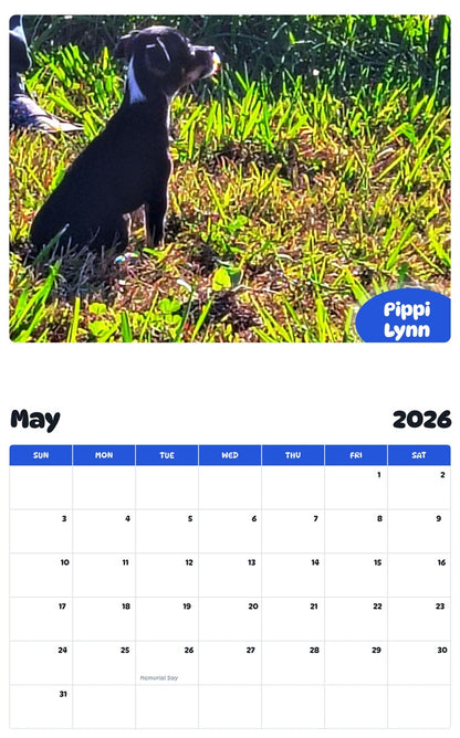 2026 - 2027 Pippi Lynn - Pawidols Pet Calendar
