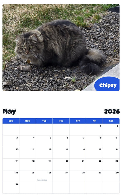 2026 - 2027 Chipsy - Pawidols Pet Calendar
