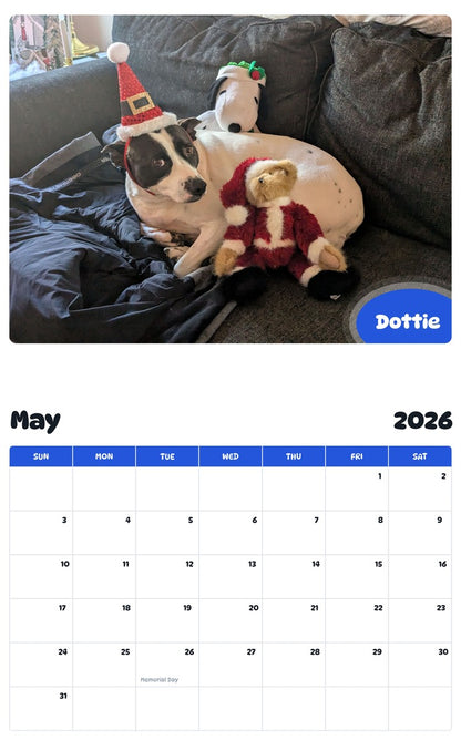 2026 - 2027 Dottie - Pawidols Pet Calendar