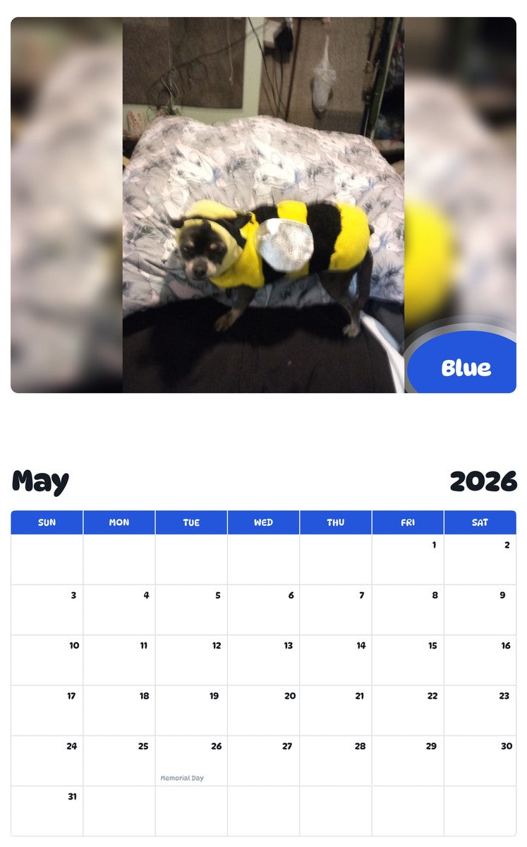 2026 - 2027 Blue - Pawidols Pet Calendar