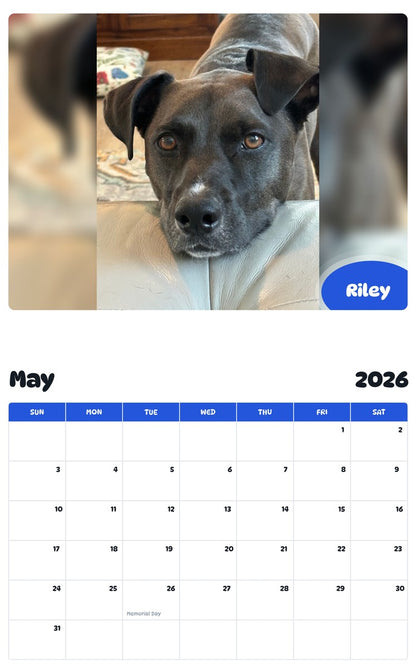 2026 - 2027 Riley - Pawidols Pet Calendar