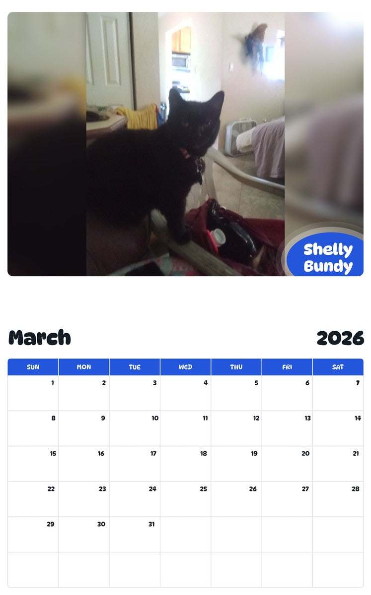 November 2025 - October 2026 Shelly Bundy - Pawidols Pet Calendar