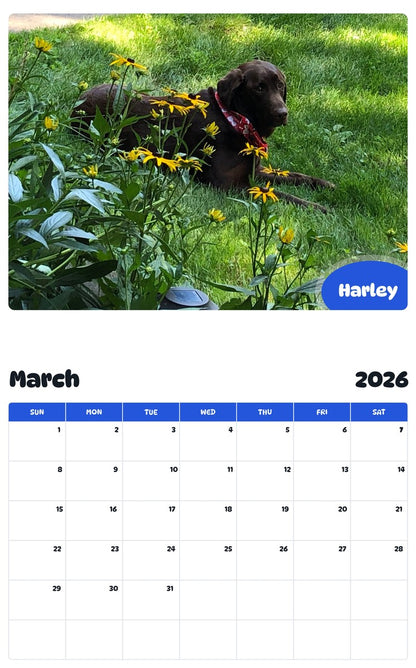November 2025 - October 2026 Harley - Pawidols Pet Calendar