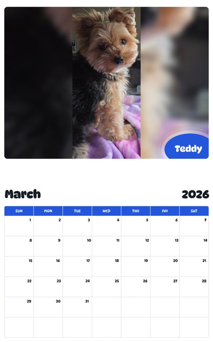 November 2025 - October 2026 Teddy - Pawidols Pet Calendar