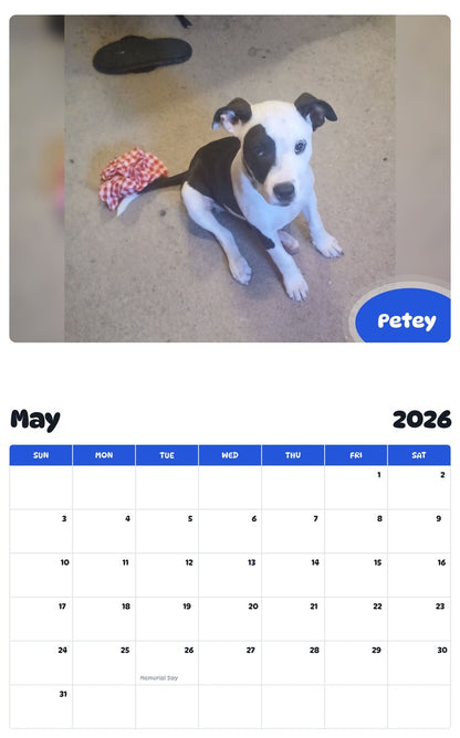 2026 - 2027 Petey - Pawidols Pet Calendar