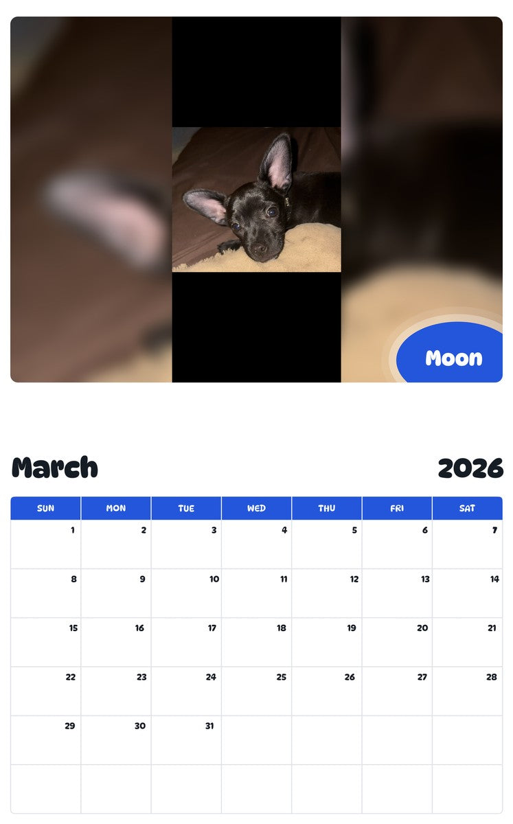 November 2025 - October 2026 Moon - Pawidols Pet Calendar