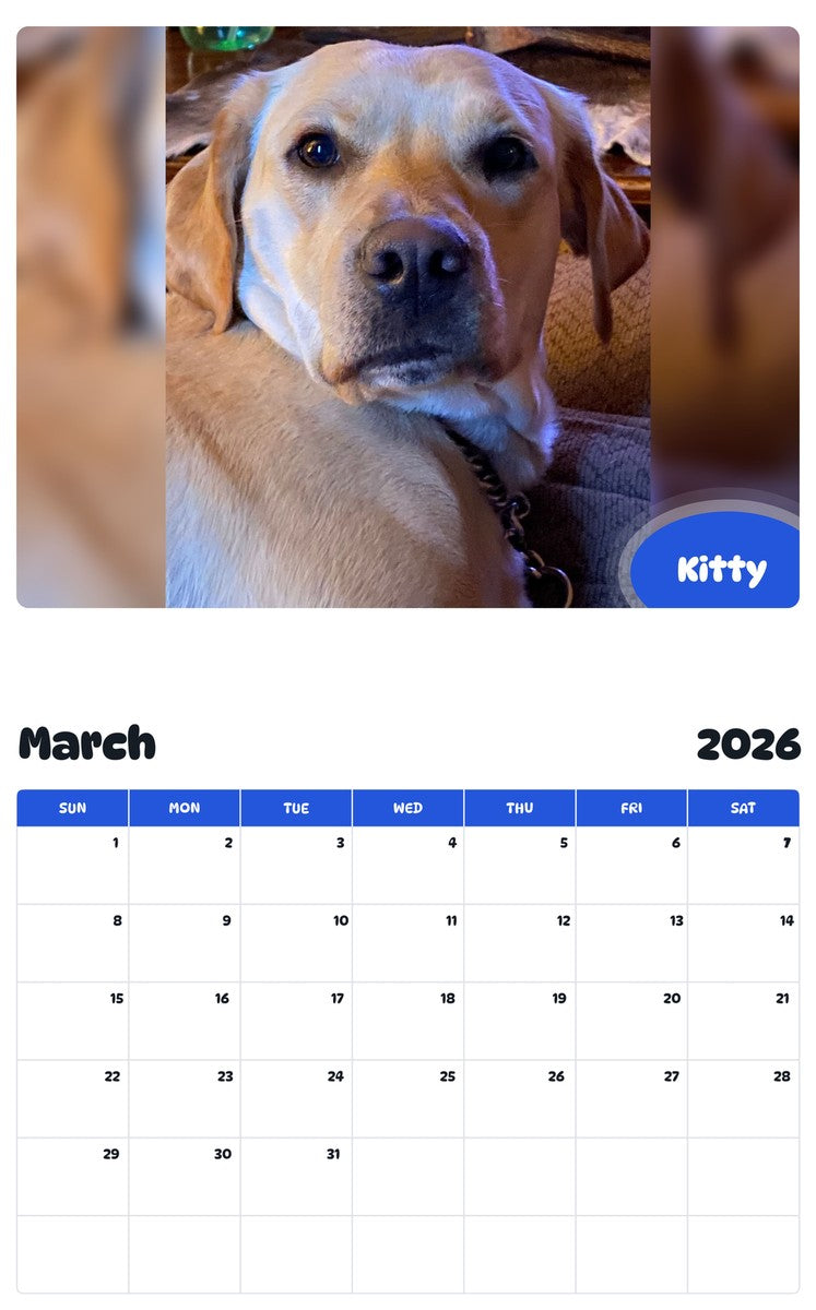 November 2025 - October 2026 Kitty - Pawidols Pet Calendar
