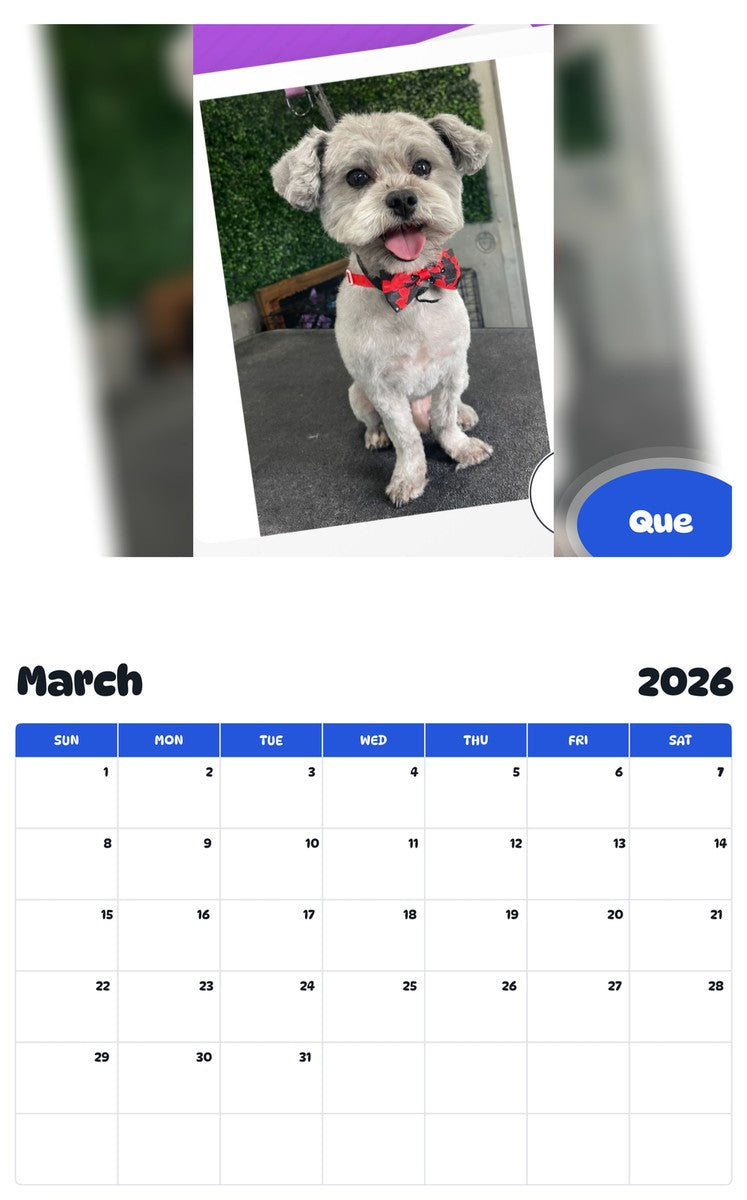 November 2025 - October 2026 Que - Pawidols Pet Calendar
