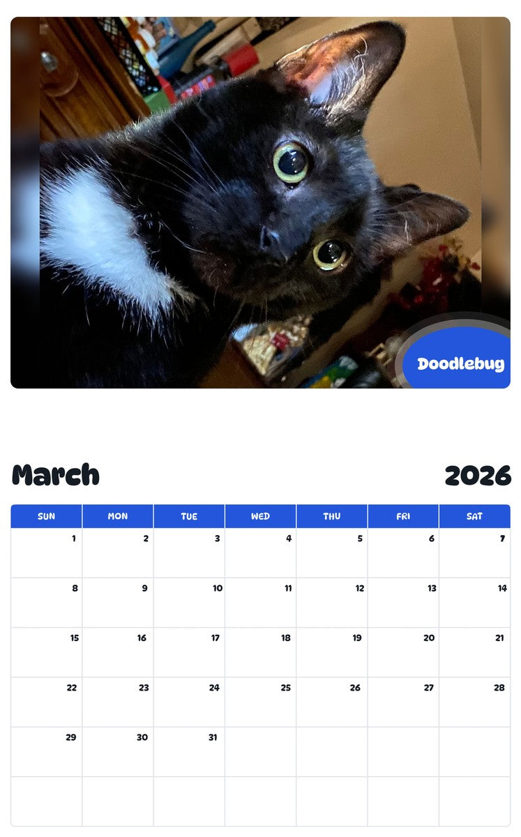 November 2025 - October 2026 Doodlebug - Pawidols Pet Calendar