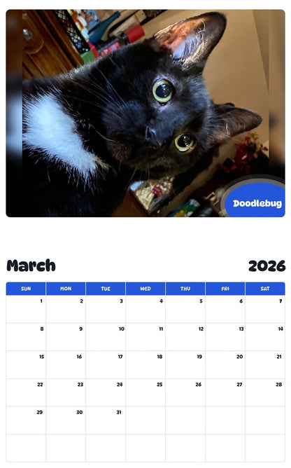 November 2025 - October 2026 Doodlebug - Pawidols Pet Calendar