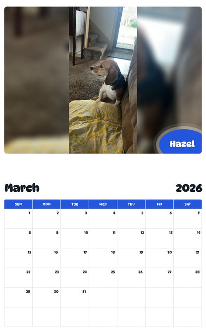 November 2025 - October 2026 Hazel - Pawidols Pet Calendar
