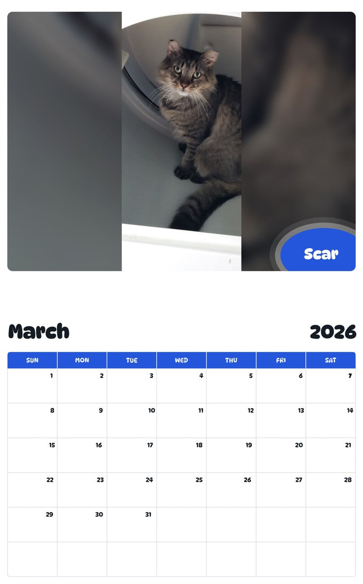 November 2025 - October 2026 Scar - Pawidols Pet Calendar
