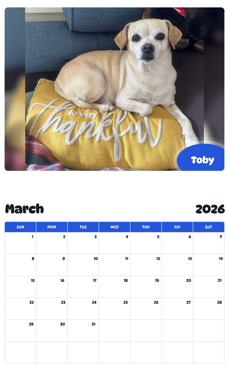 November 2025 - October 2026 Toby - Pawidols Pet Calendar