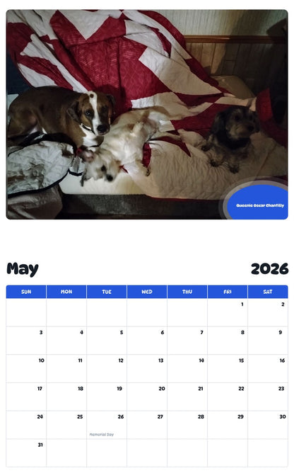 2026 - 2027 Queenie Oscar Chantilly - Pawidols Pet Calendar