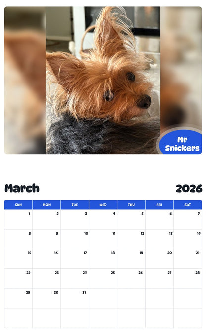 November 2025 - October 2026 Mr Snickers - Pawidols Pet Calendar