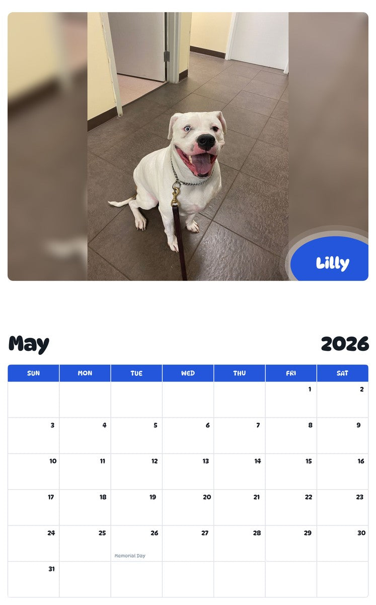 2026 - 2027 Lilly - Pawidols Pet Calendar