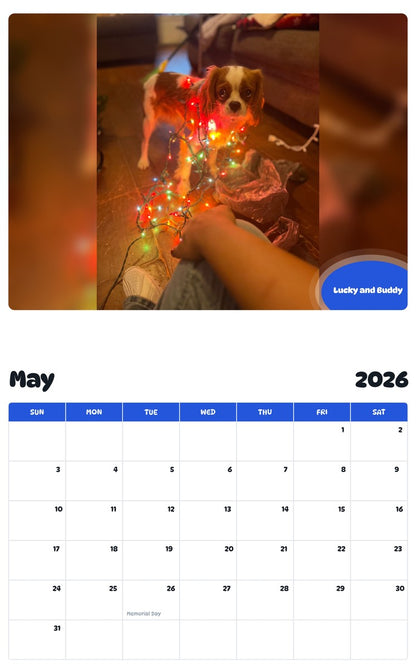 2026 - 2027 Lucky and Buddy - Pawidols Pet Calendar