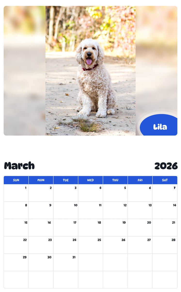 November 2025 - October 2026 Lila - Pawidols Pet Calendar