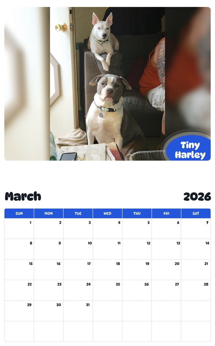 November 2025 - October 2026 Tiny Harley - Pawidols Pet Calendar