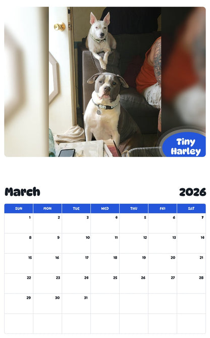 November 2025 - October 2026 Tiny Harley - Pawidols Pet Calendar