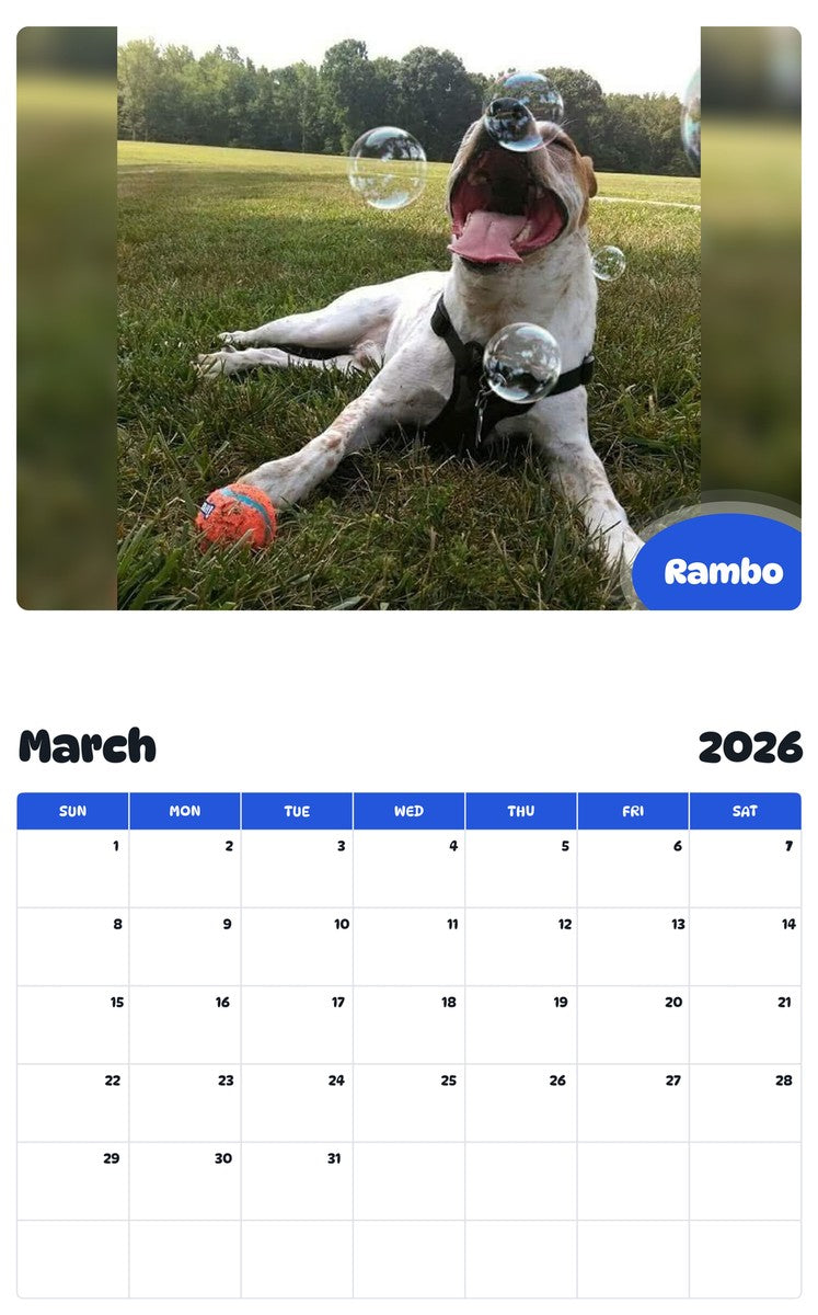 November 2025 - October 2026 Rambo - Pawidols Pet Calendar