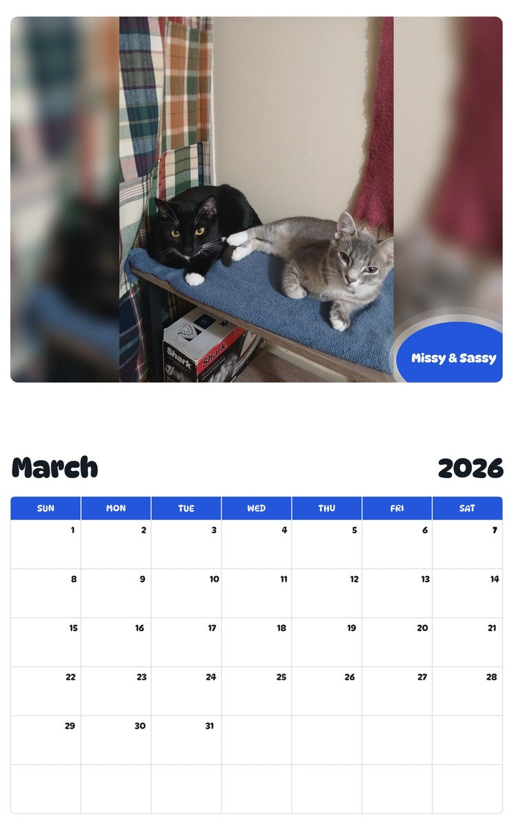 November 2025 - October 2026 Missy & Sassy - Pawidols Pet Calendar