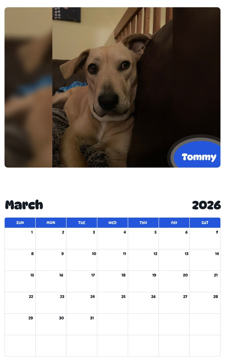 November 2025 - October 2026 Tommy - Pawidols Pet Calendar