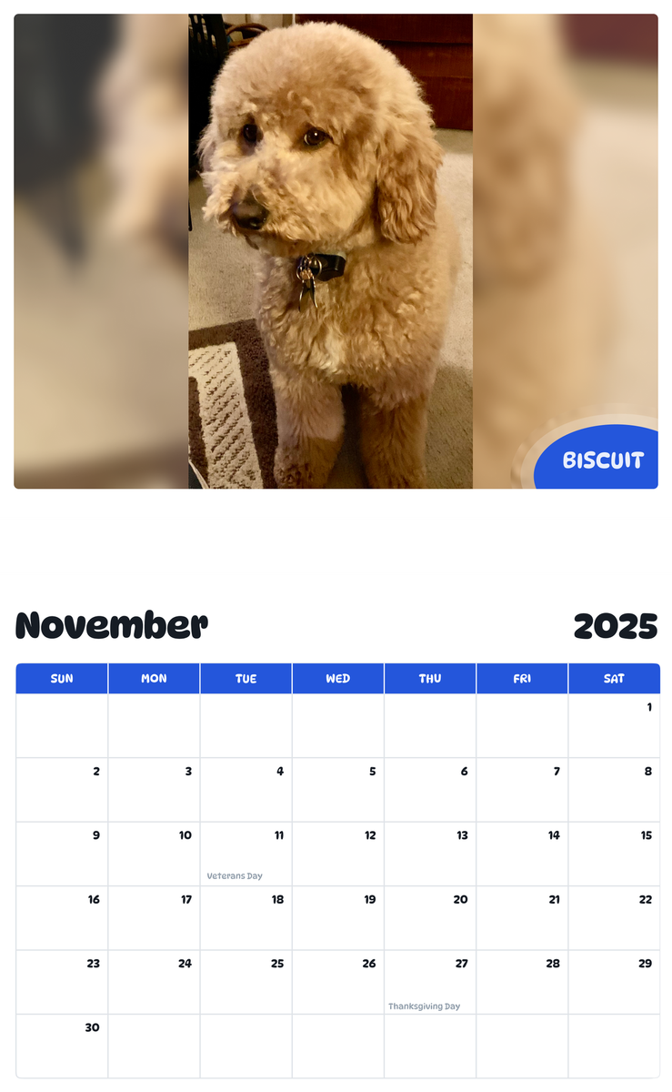 July 2025 - June 2026 Biscuit - Pawidols Pet Calendar