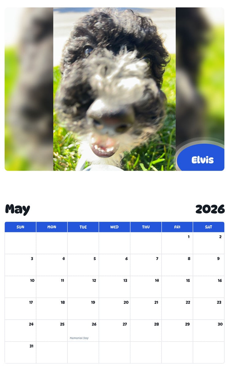 2026 - 2027 Elvis - Pawidols Pet Calendar