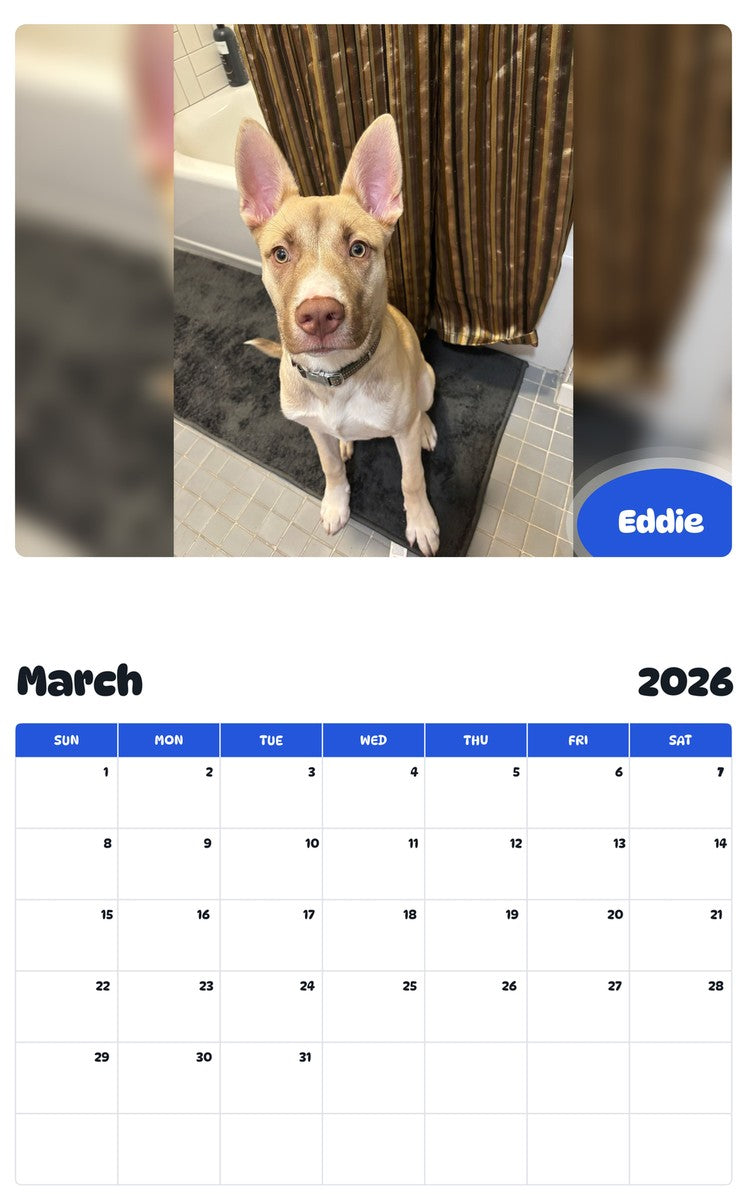 November 2025 - October 2026 Eddie - Pawidols Pet Calendar