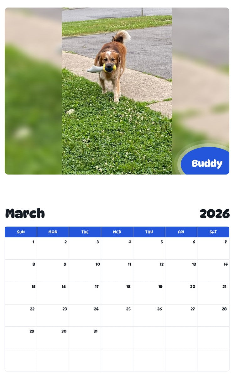 November 2025 - October 2026 Buddy - Pawidols Pet Calendar