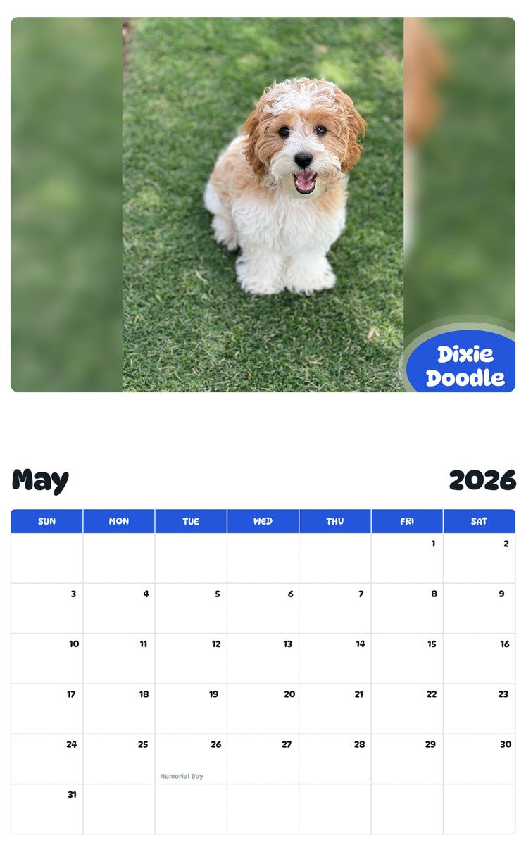 2026 - 2027 Dixie Doodle - Pawidols Pet Calendar