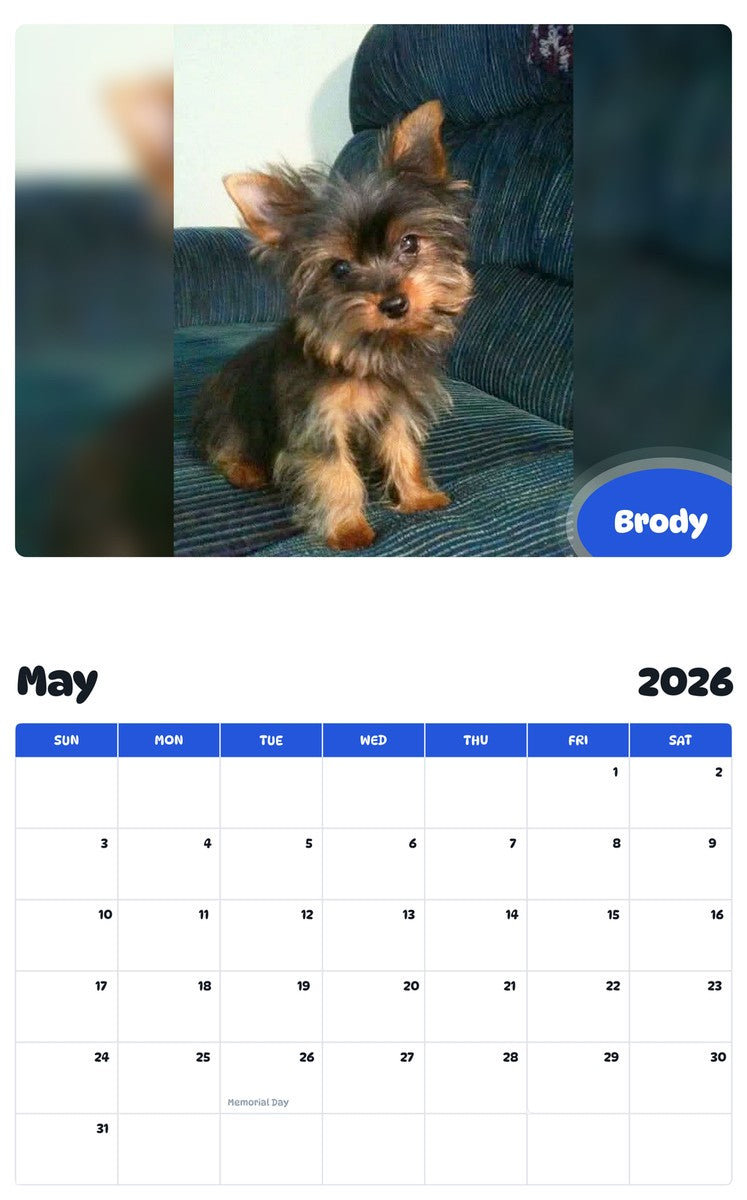 2026 - 2027 Brody - Pawidols Pet Calendar