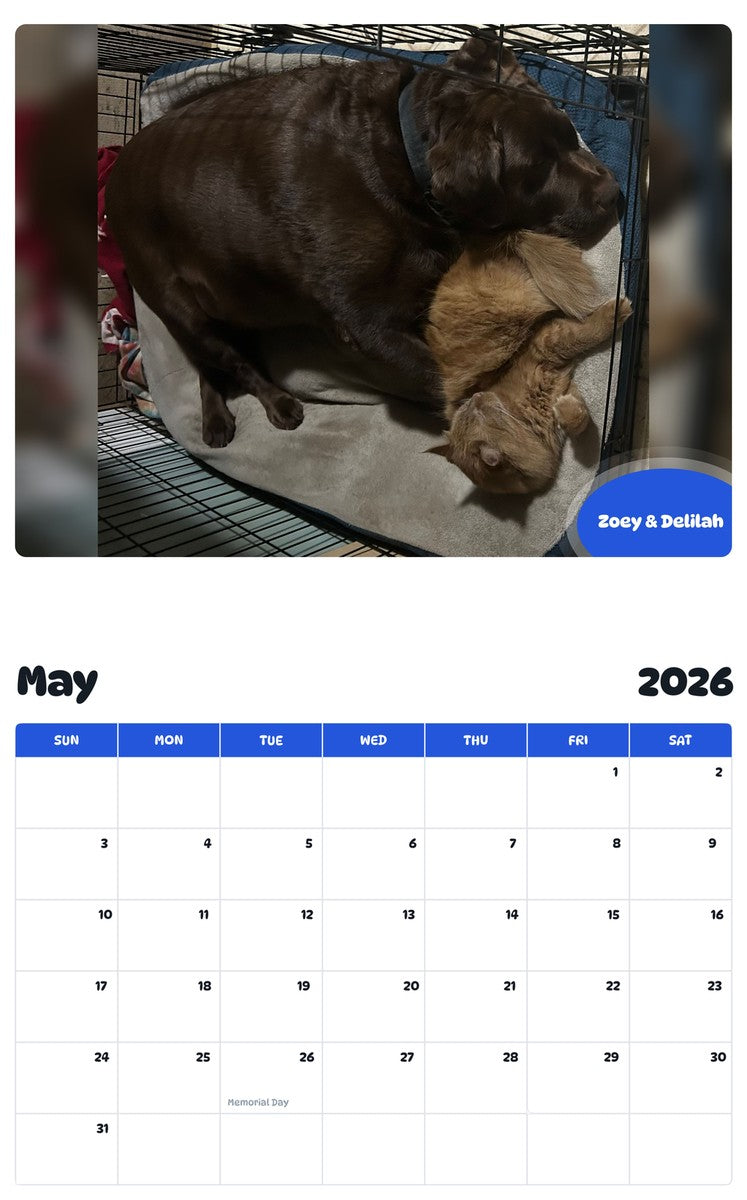 2026 - 2027 Zoey & Delilah - Pawidols Pet Calendar