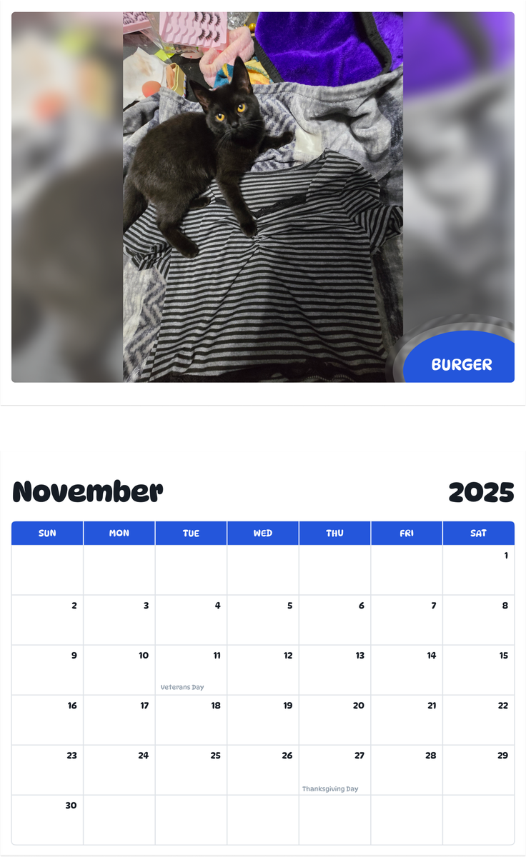 July 2025 - June 2026 Burger - Pawidols Pet Calendar