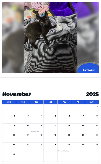 July 2025 - June 2026 Burger - Pawidols Pet Calendar